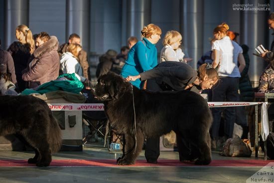 Фотография № 145359