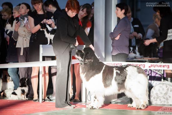 Фотография № 145361