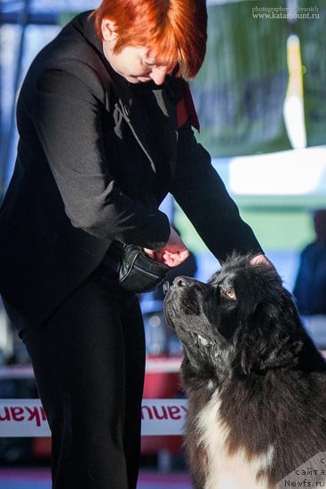 Фотография № 145362