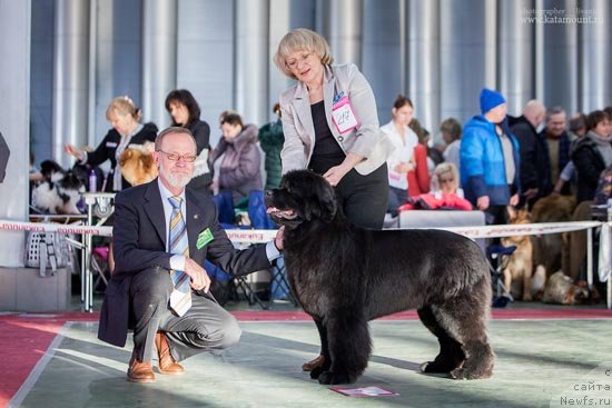 Фотография № 145367