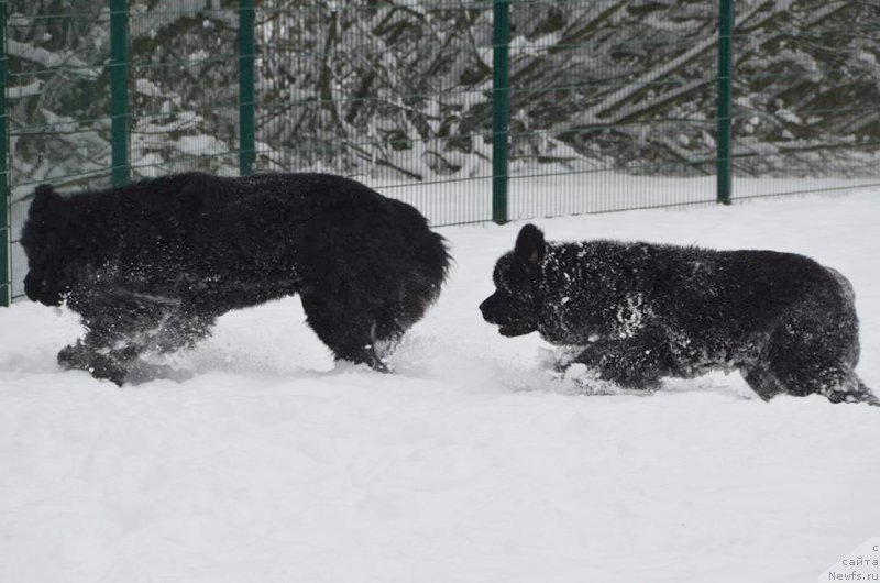 Фотография № 145370