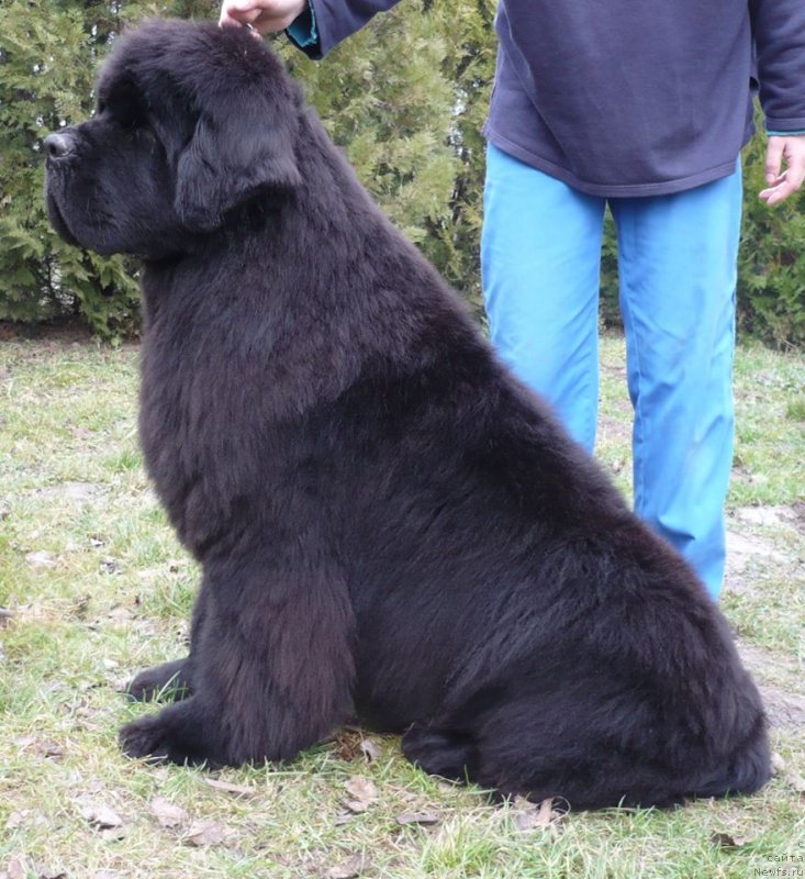 Фотография № 145400