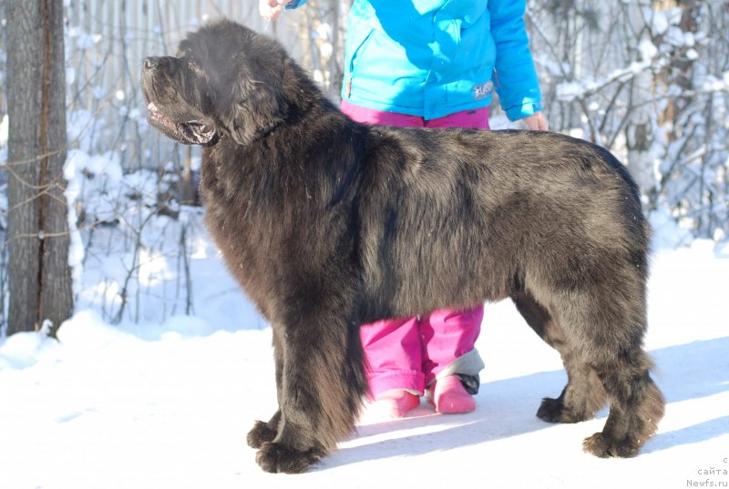 Фотография № 145426