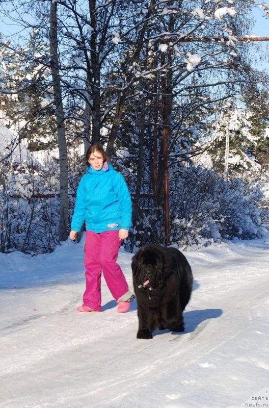 Фотография № 145428