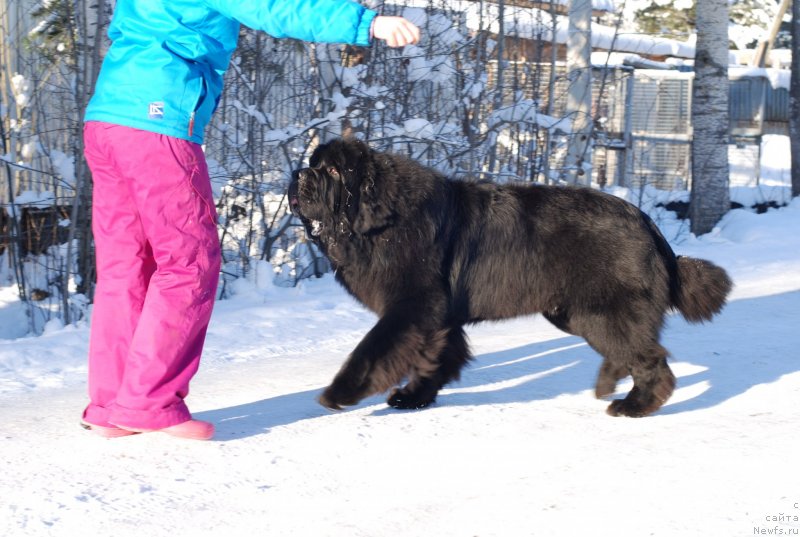 Фотография № 145429