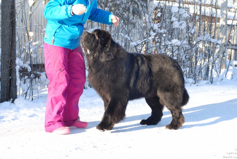 Фотография № 145430