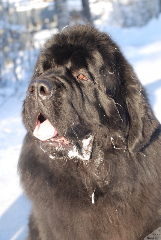 Фотография № 145432