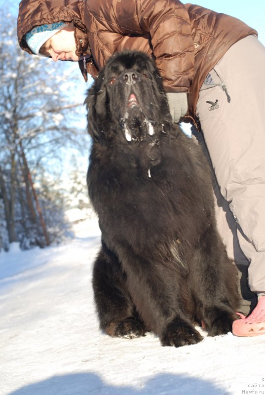 Фотография № 145434