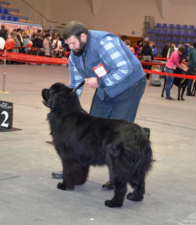 Фотография № 145448