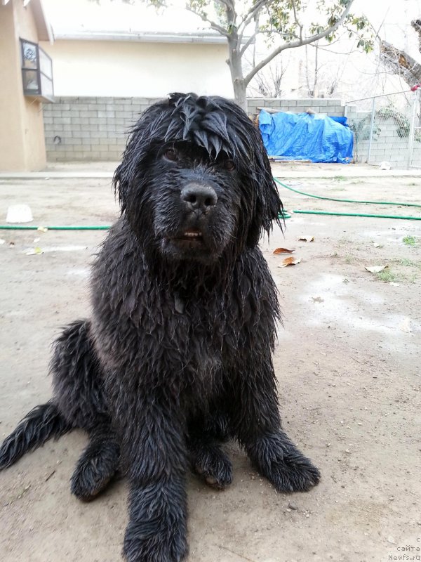 Фотография № 145462