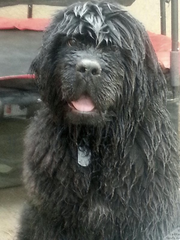 Фотография № 145463