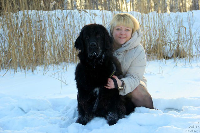 Фото: ньюфаундленд Интрига Ночи от Марлеон Дусвик, Оксана Конопельцева