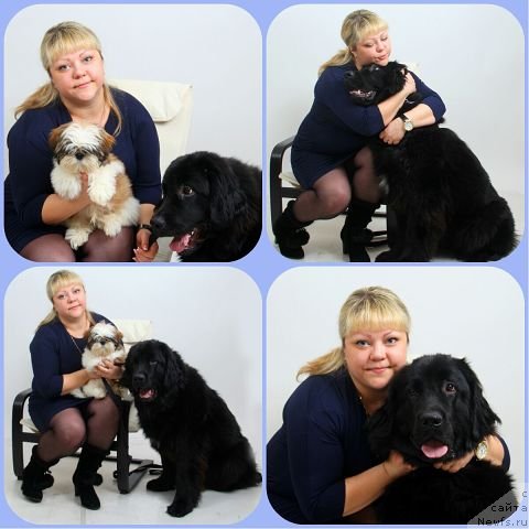 Фото: ньюфаундленд Интрига Ночи от Марлеон Дусвик, Оксана Конопельцева