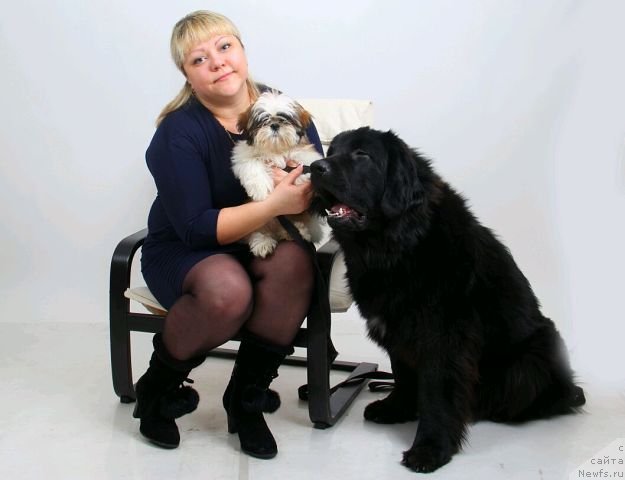 Фото: ньюфаундленд Интрига Ночи от Марлеон Дусвик, Оксана Конопельцева