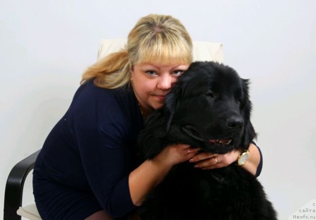 Фото: ньюфаундленд Интрига Ночи от Марлеон Дусвик, Оксана Конопельцева