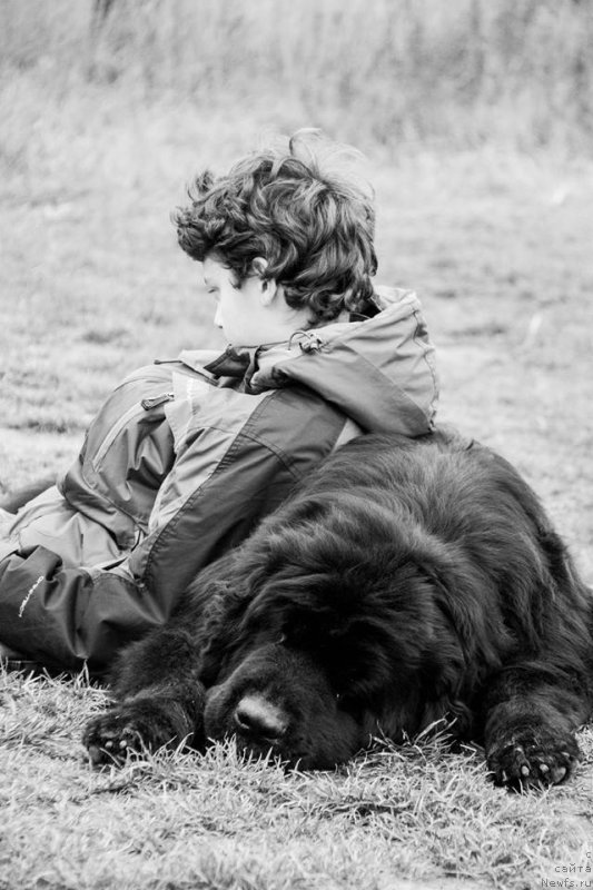 Фотография № 145638