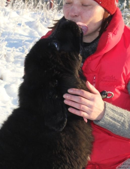 Фото: Ирина Бубнова, Моника