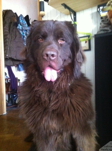 Фотография № 145743