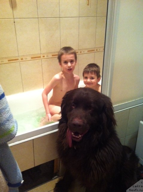 Фотография № 145744