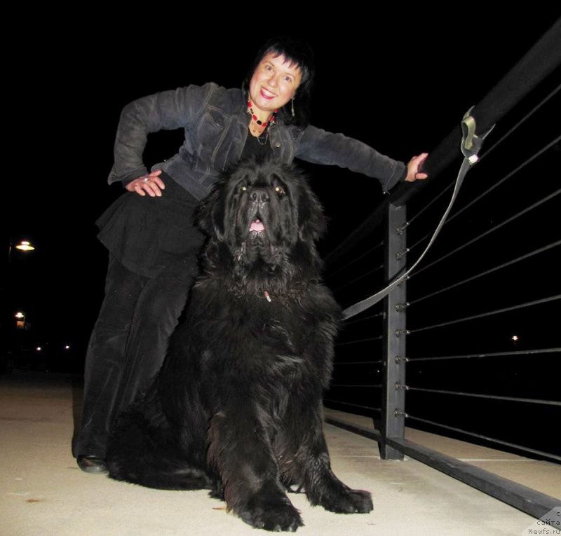 Фотография № 145757