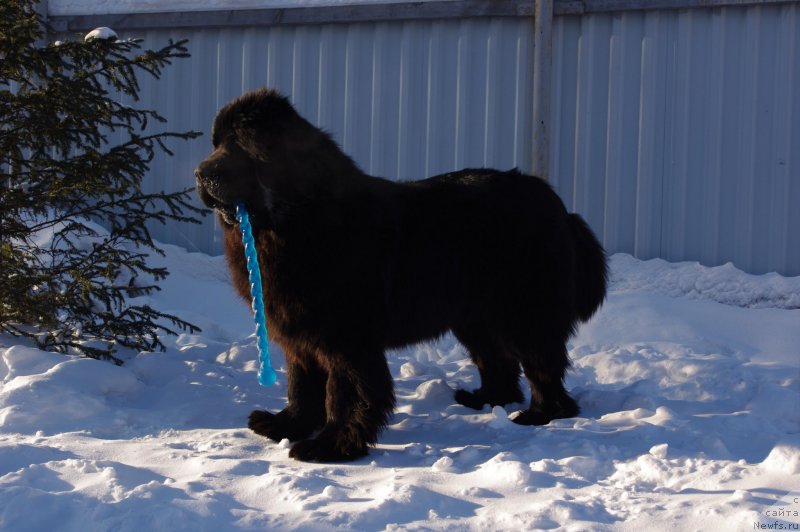 Фотография № 145779