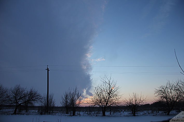 Фотография № 145826