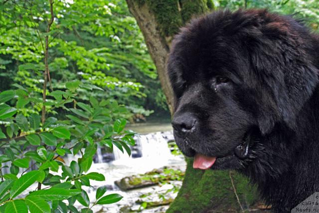 Фотография № 14592