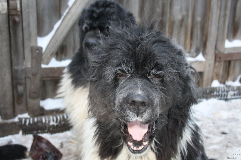 Фотография № 145967