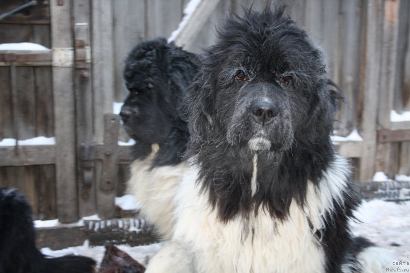 Фотография № 145968