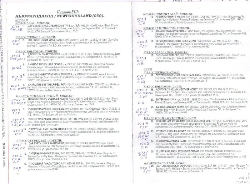 Фотография № 145990