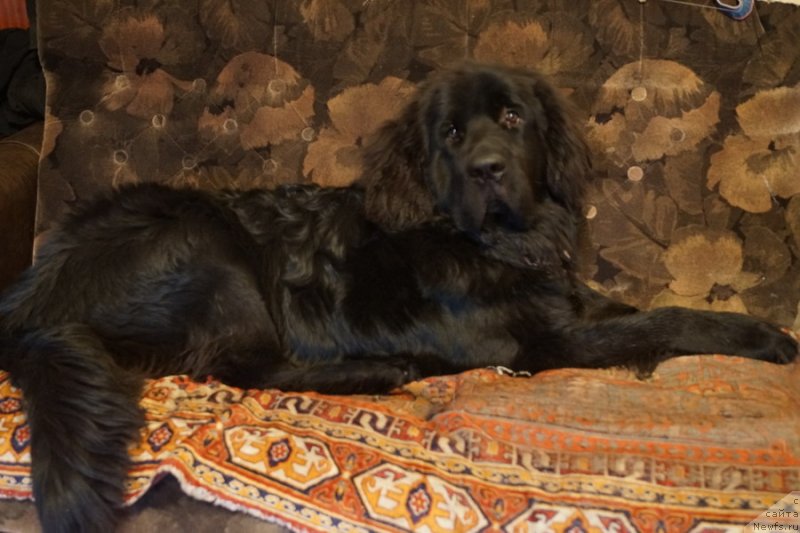 Фотография № 145994