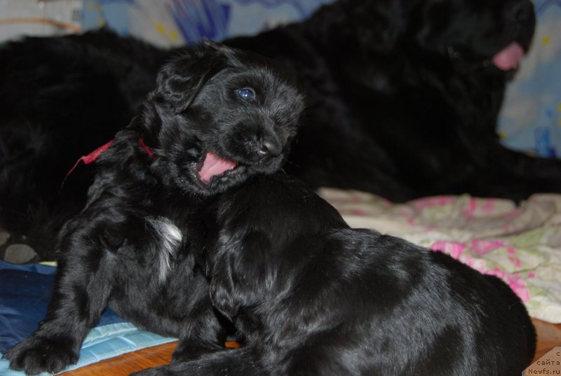 Фотография № 146019