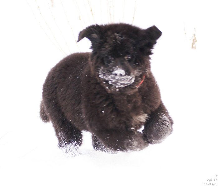 Фотография № 146038