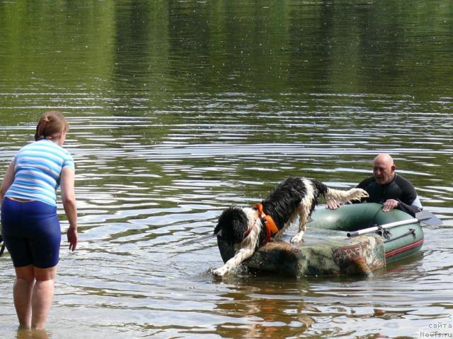 Фотография № 14615