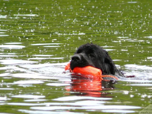 Фотография № 14618