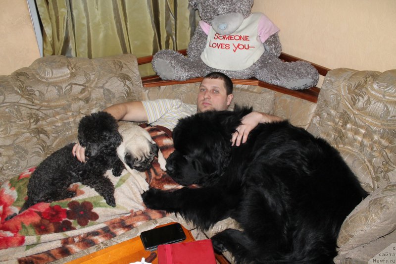 Фото: ньюфаундленд Бегущая по Волнам Шаолинь (Beguschaya po Volnam Shaolin), Нюша, Лада