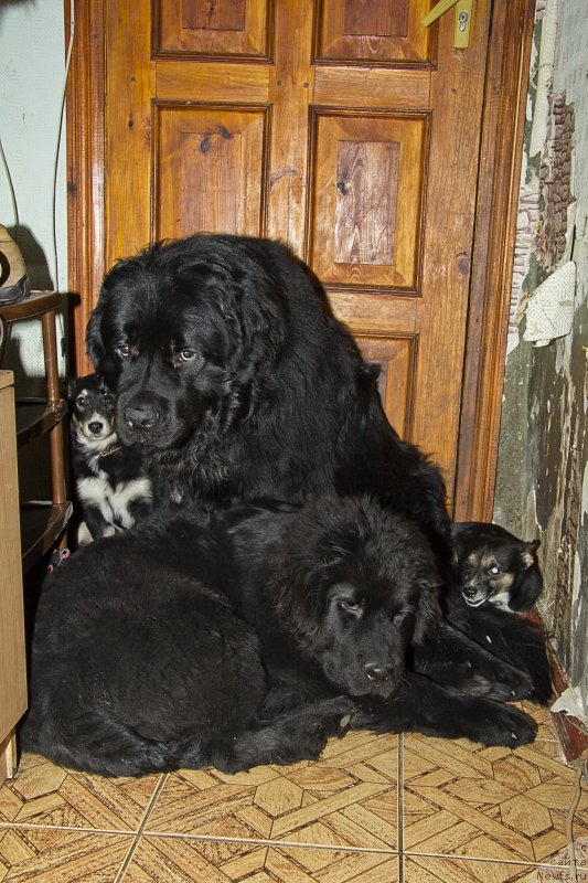 Фотография № 146184