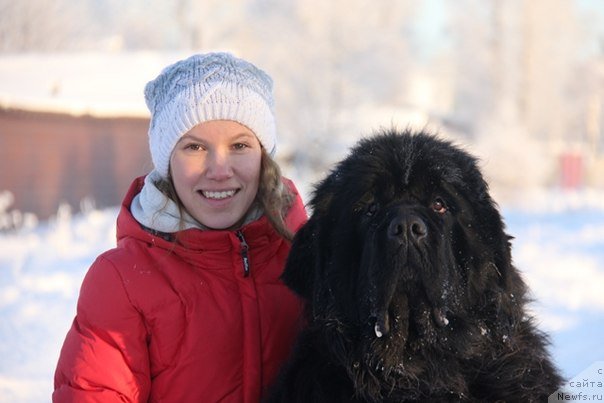 Фотография № 146193