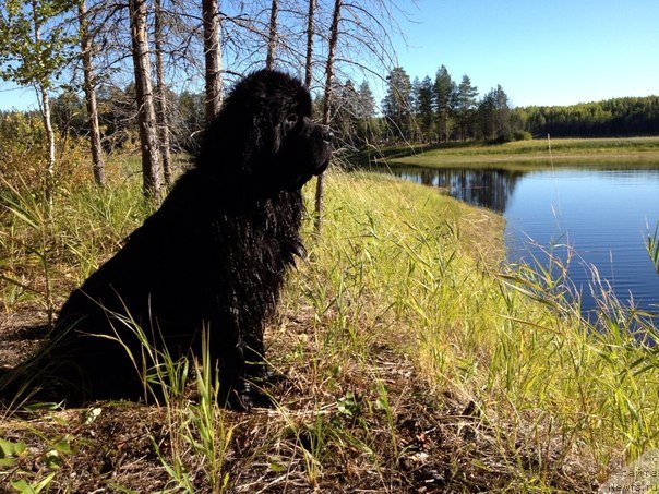 Фотография № 146195