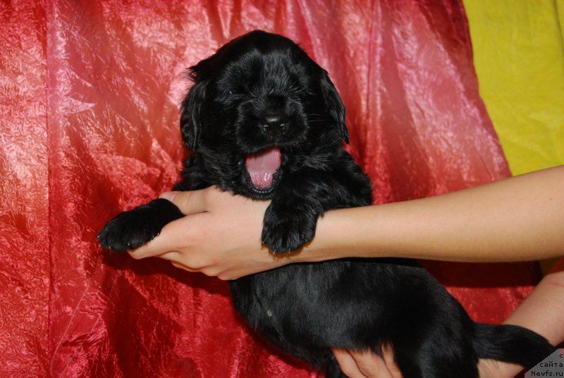 Фотография № 146314