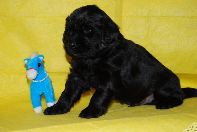 Фотография № 146318