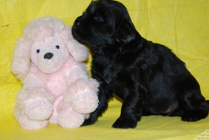 Фотография № 146319