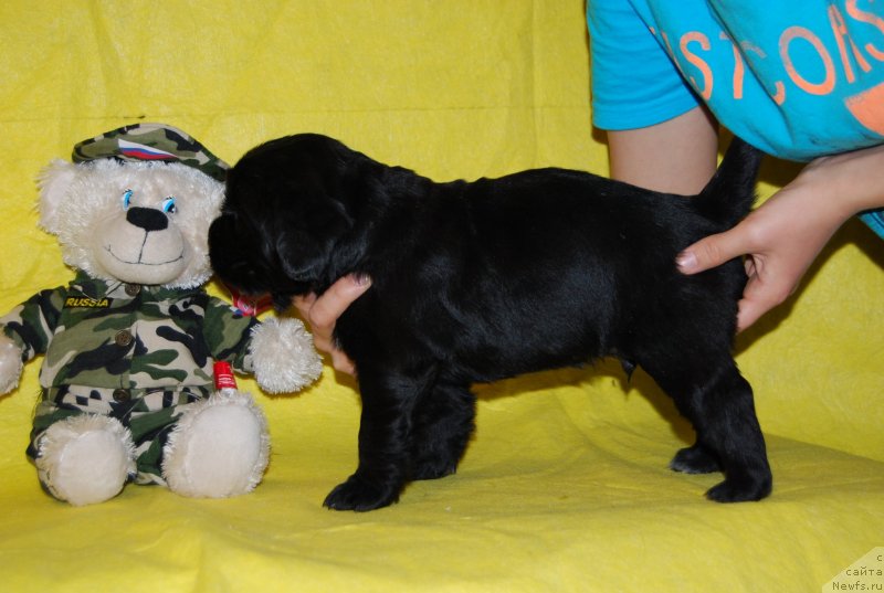 Фотография № 146320