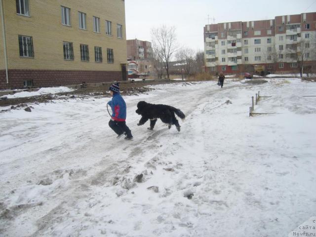 Фотография № 14637