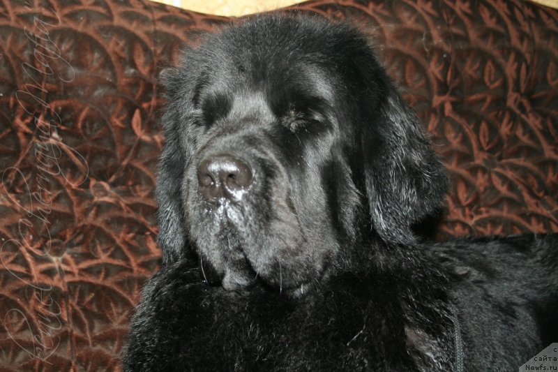 Фотография № 146441