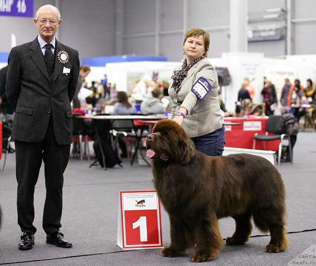 Фотография № 146444