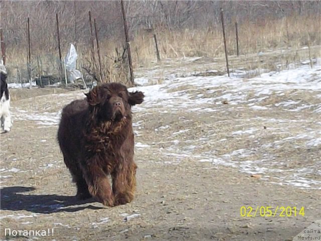 Фотография № 146445