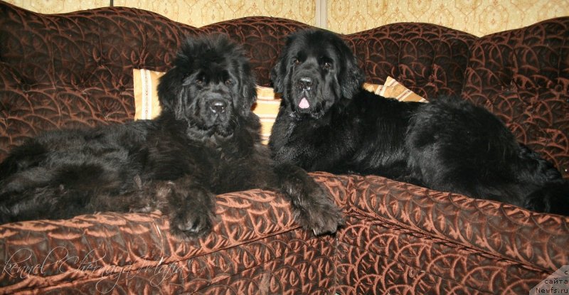 Фотография № 146471