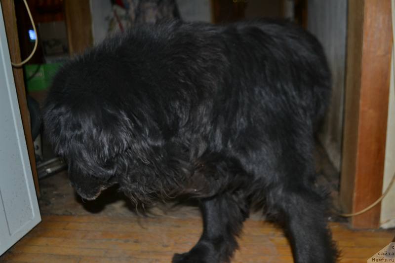 Фотография № 146474