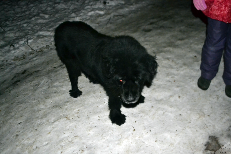 Фото: Жанна Шмелёва, Дюша